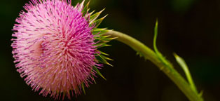 ddos在线攻击测试网站