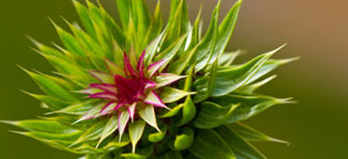 ddos压力测试平台